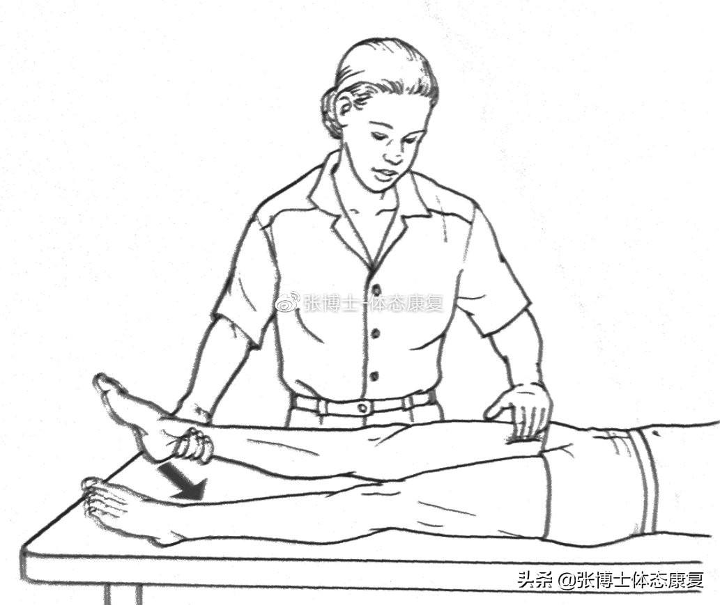 「功能训练」人体额状面稳定性与侧向子系统的关系