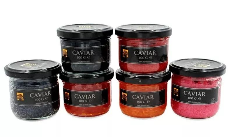 贵过黄金的鱼子酱竟如此接地气,特别昂贵的鱼子酱