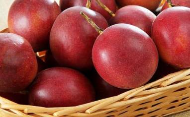 百香果如何种植效益好些,百香果最新高产种植方法