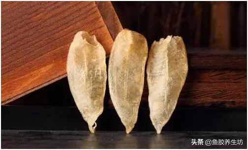 鱼胶知识书籍,鱼胶的知识抖音视频