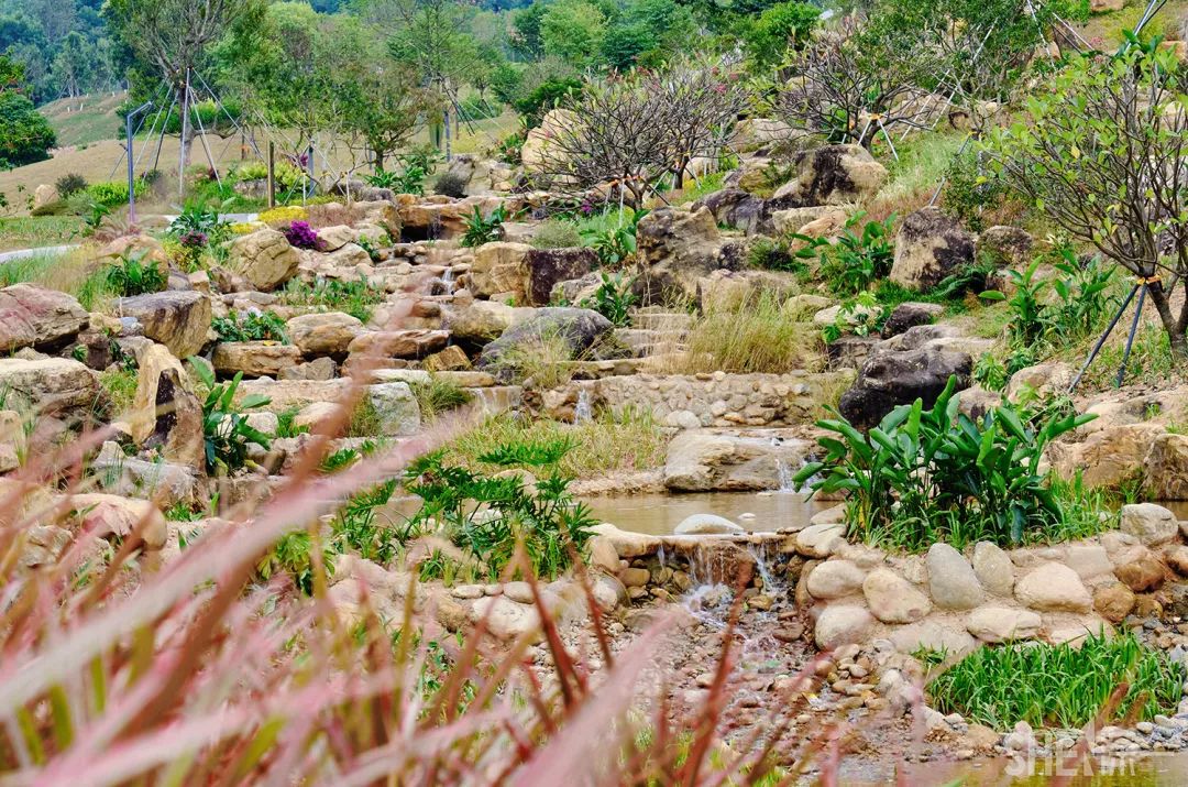 深圳龙华公园推荐,深圳龙华免费公园