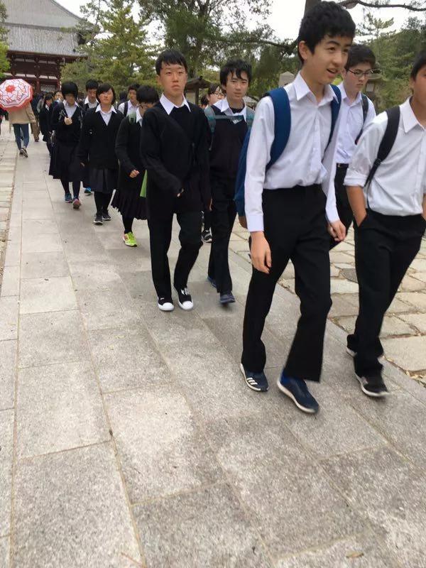 浪漫樱花完整版3分钟,《浪漫樱花》