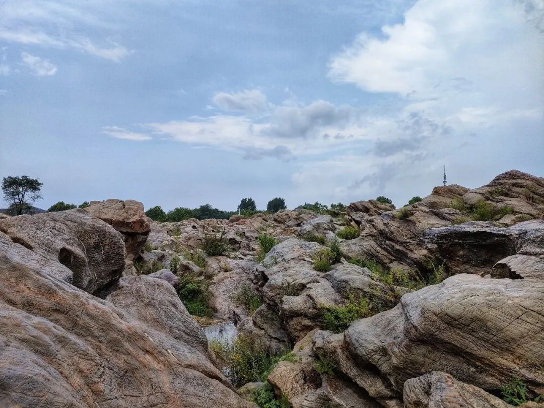 大连金石园奇石名称,大连市金石园