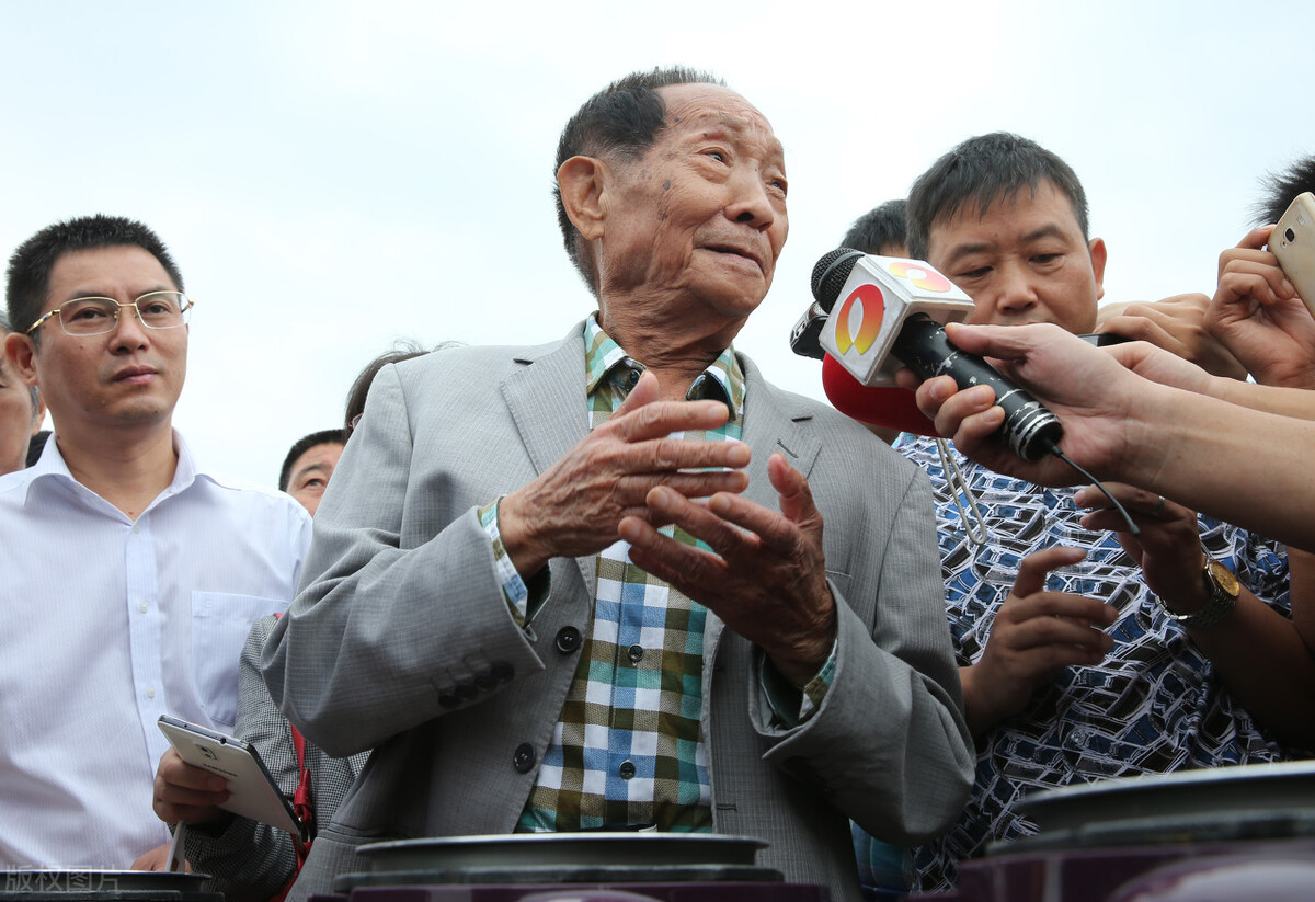 饱食者当忆袁老：禾下乘凉梦，仓满无饥恐