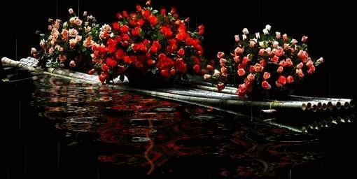 520情人节祝福送上真的太美了,最新的520情人节