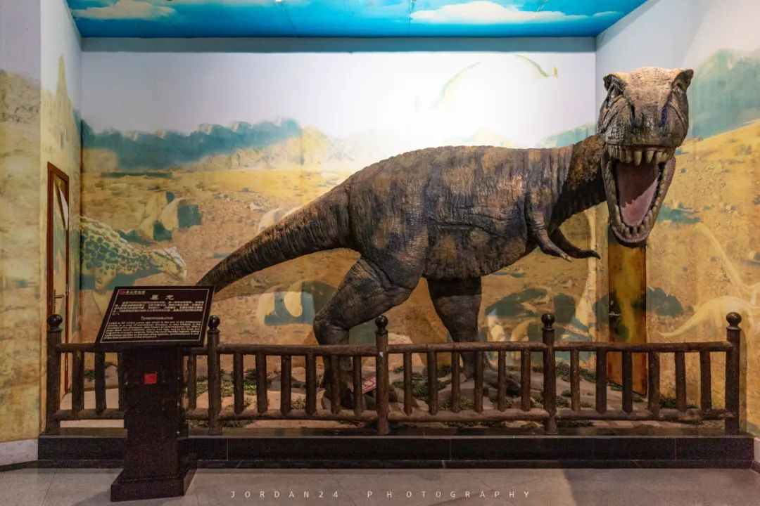 綦江城区游,重庆綦江区旅游