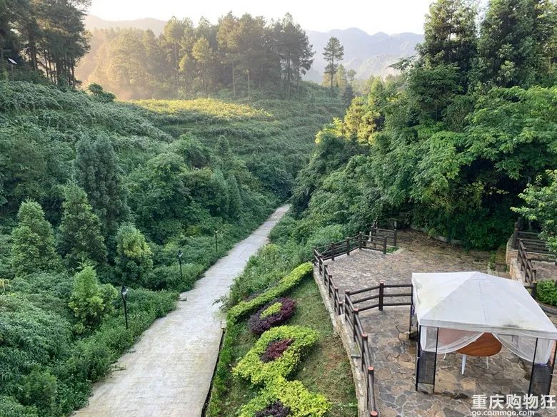 我用10年时间把重庆避暑地和避暑方式体验了个遍，优缺点全在这