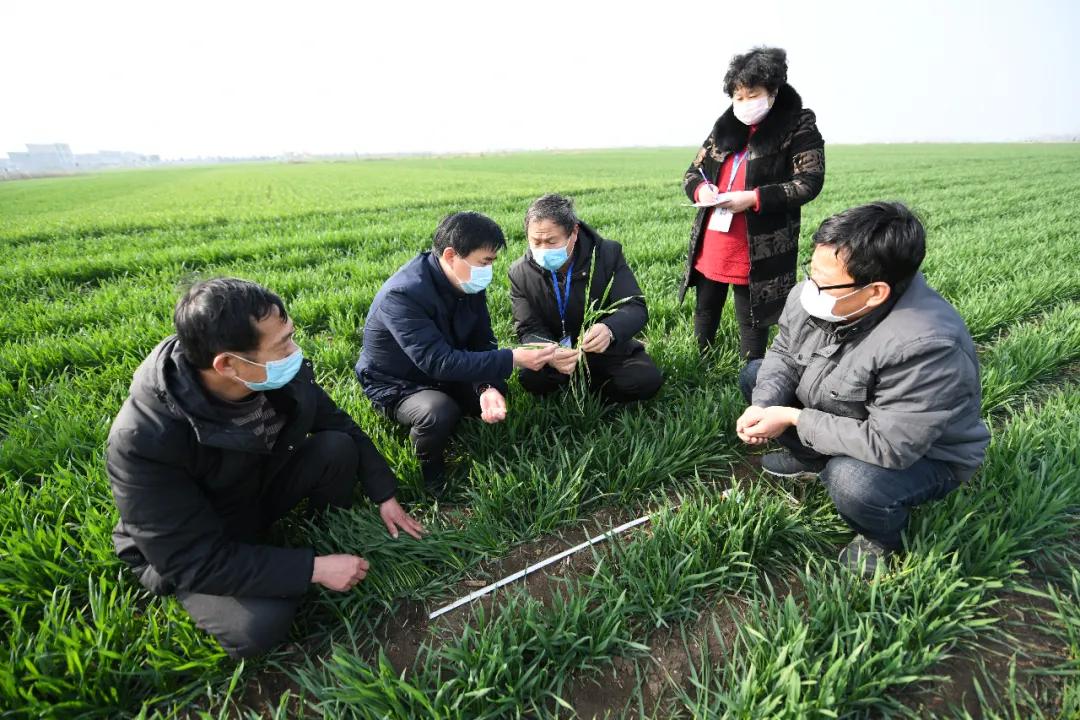 为疫情防控做贡献人人有责,为疫情英勇牺牲