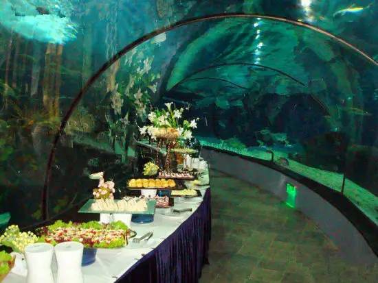 这才是正宗上海最好的牛肉,这才是上海最好吃的牛杂