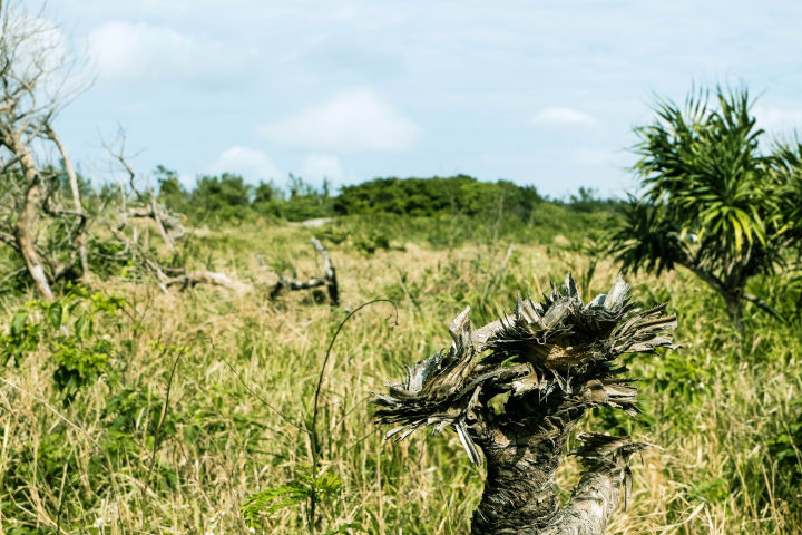 去台湾一定要去的地方,普通人去台湾攻略