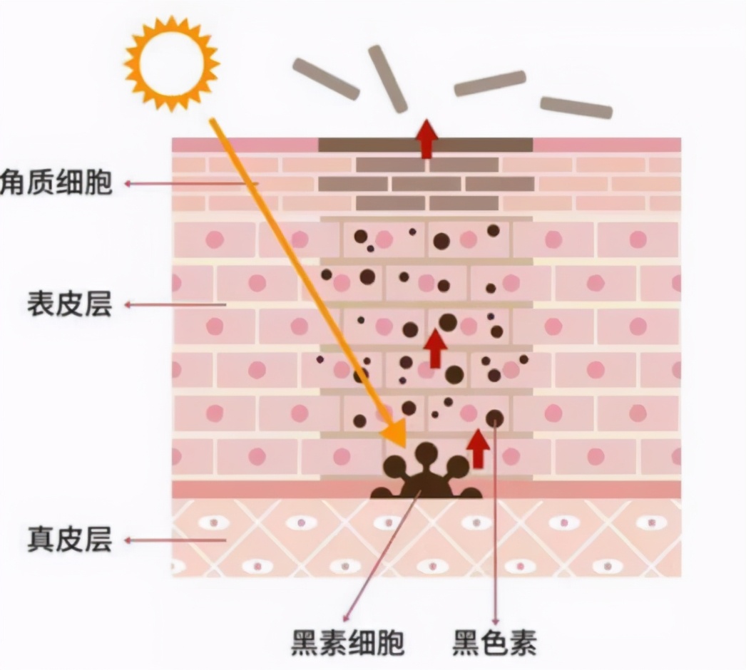 专家快速祛斑妙招推荐视频,皮肤科医生美白祛斑妙招
