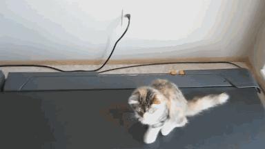 可乐最初是怎么诞生的,可乐最初居然是绿色