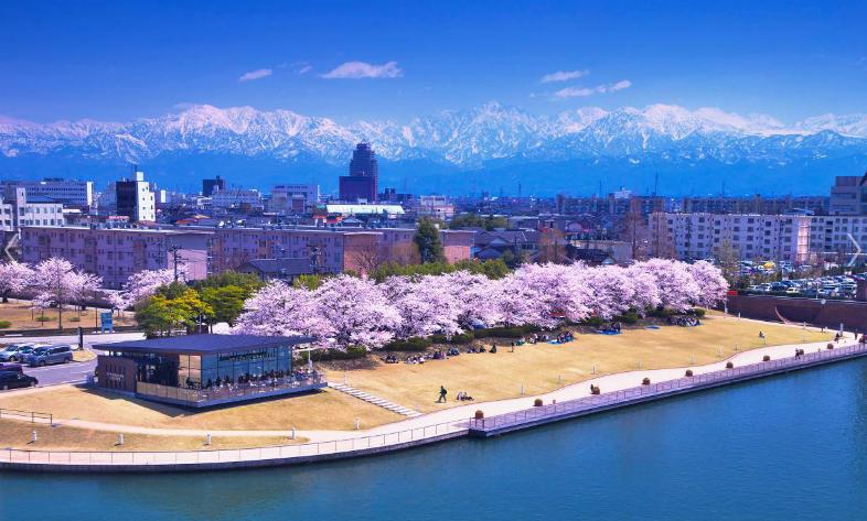 蔡澜说广东开平,蔡澜说深圳龙华