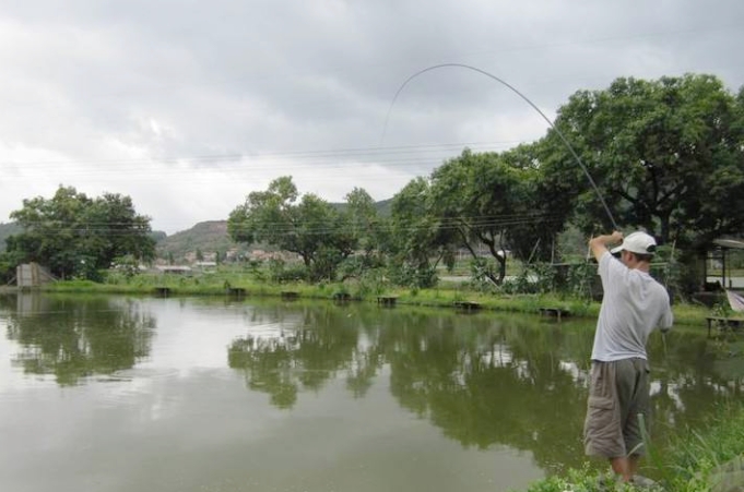 钓武昌鱼的技巧和方法,武昌鱼用什么最好钓