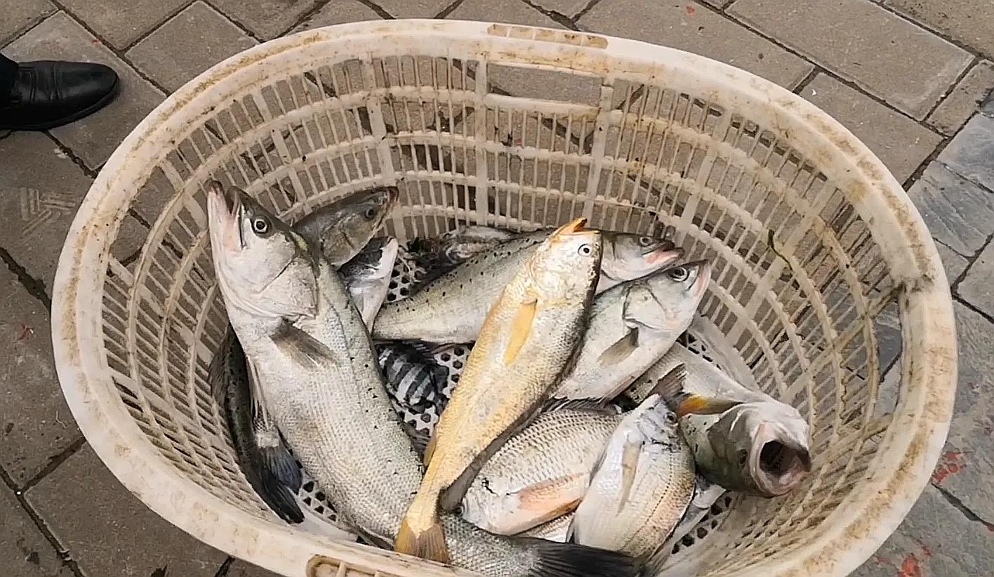 最简单的海钓入门新手教程,海钓新手学习海钓的技巧大全