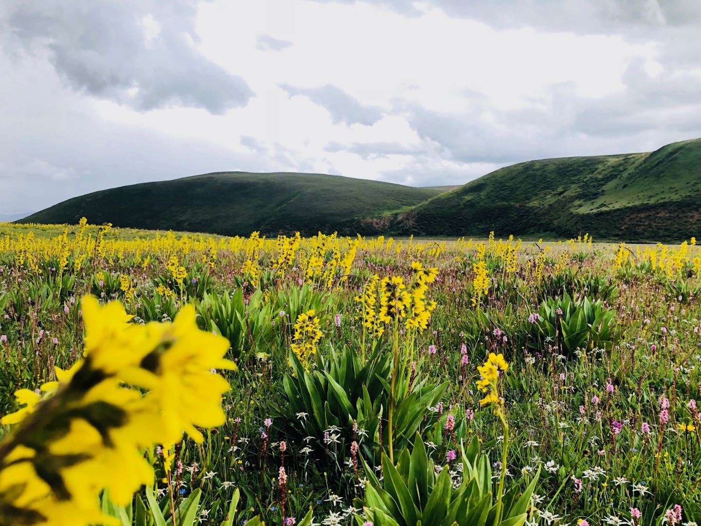川藏南线旅行日记 (川藏线美丽的大中国)
