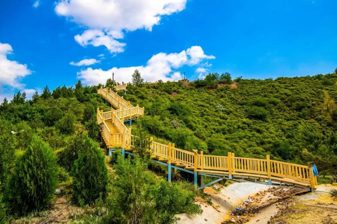 张家口今天有哪些玩的地方,张家口最火打卡地