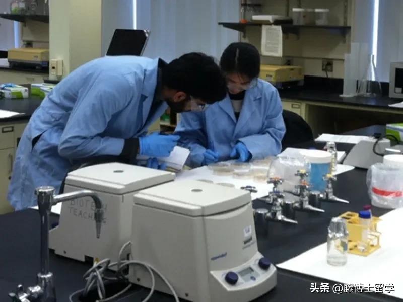 你需要了解的20个问题,国家发布的十大新兴专业