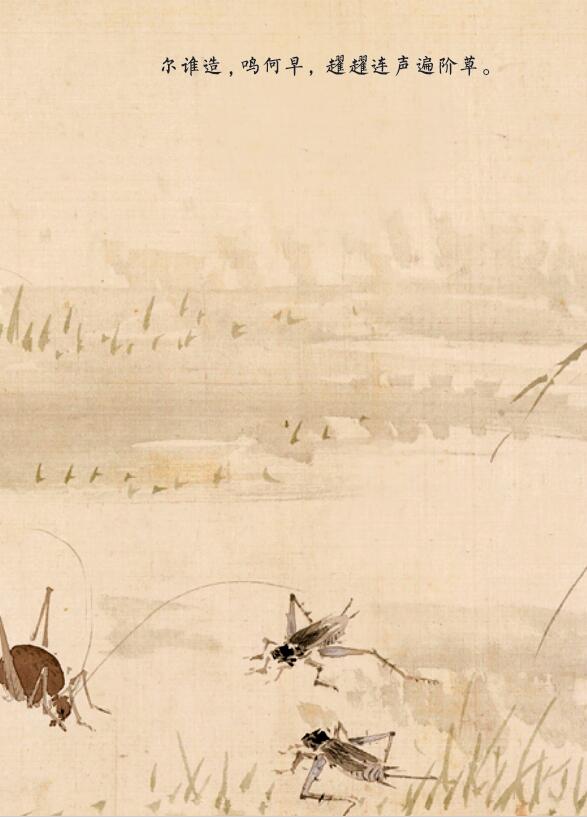 关于蟋蟀的故事,有关蟋蟀的故事