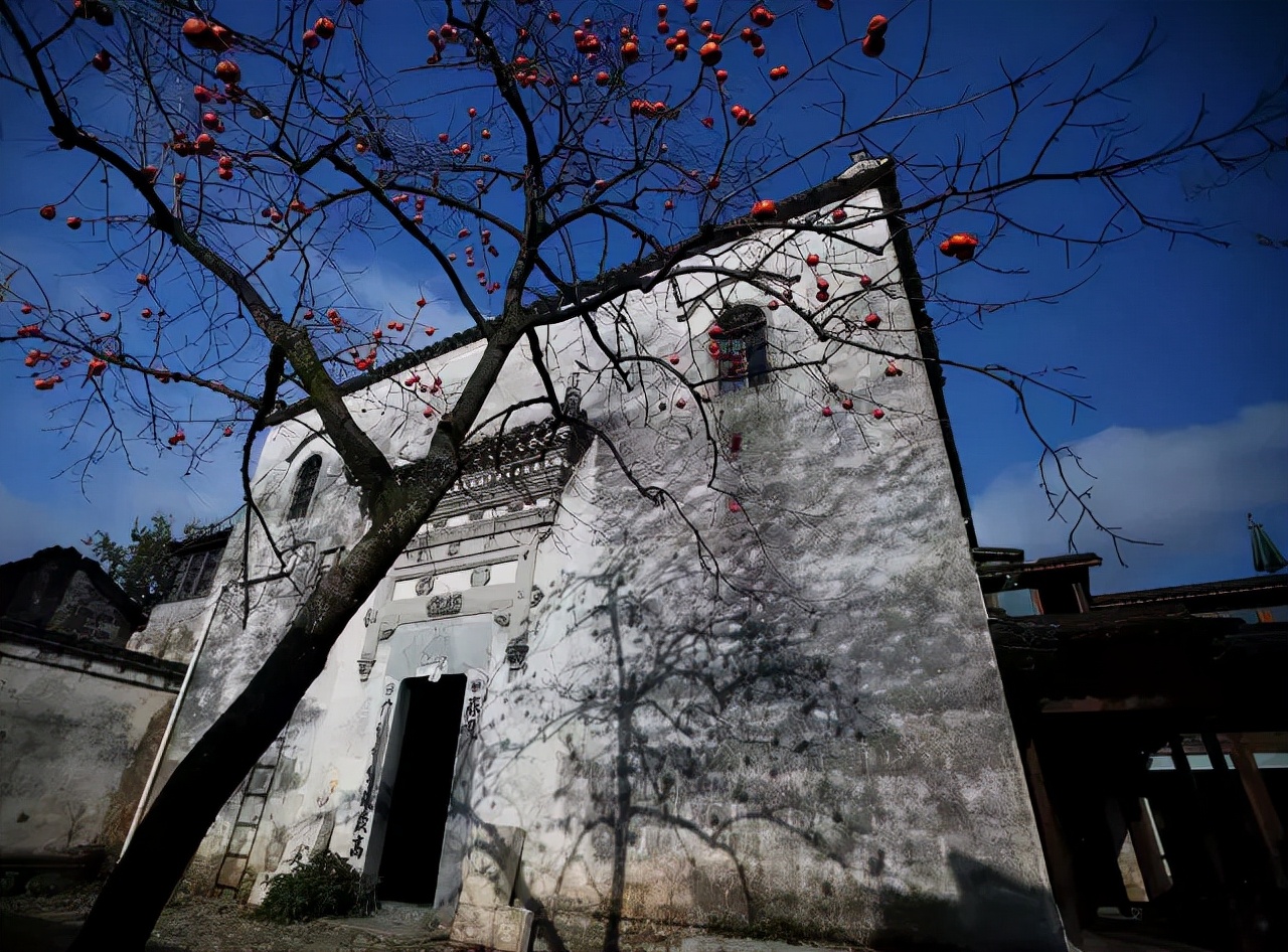 租乡下院子的乡村生活,把生活过成诗的院子