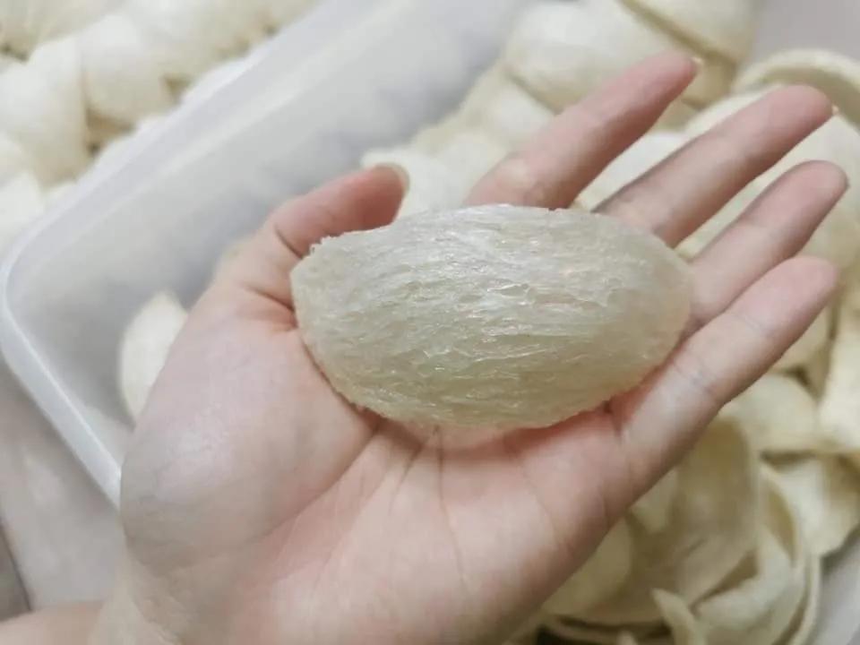 燕窝印尼和马来的差别,印尼和马来燕窝区别在于