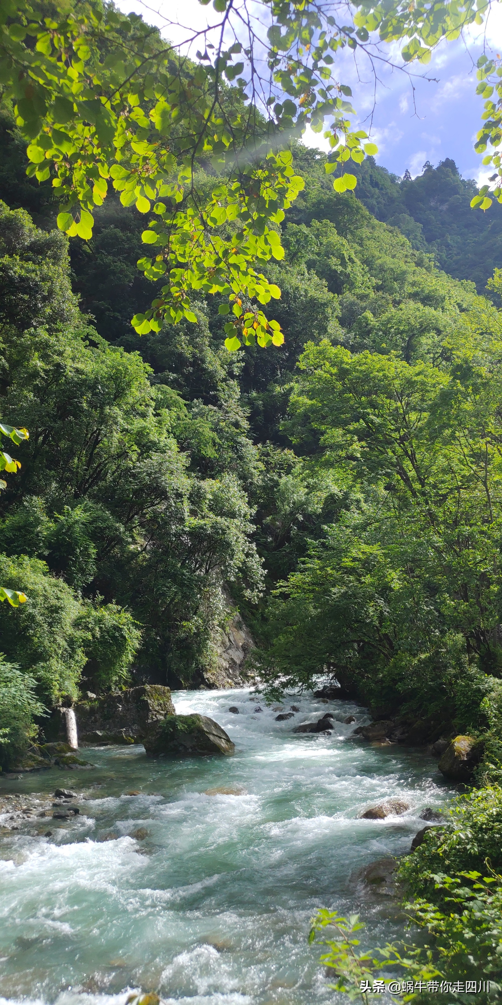一家三口重庆到拉萨旅游攻略预算,一家三口成都去拉萨大概要多少钱