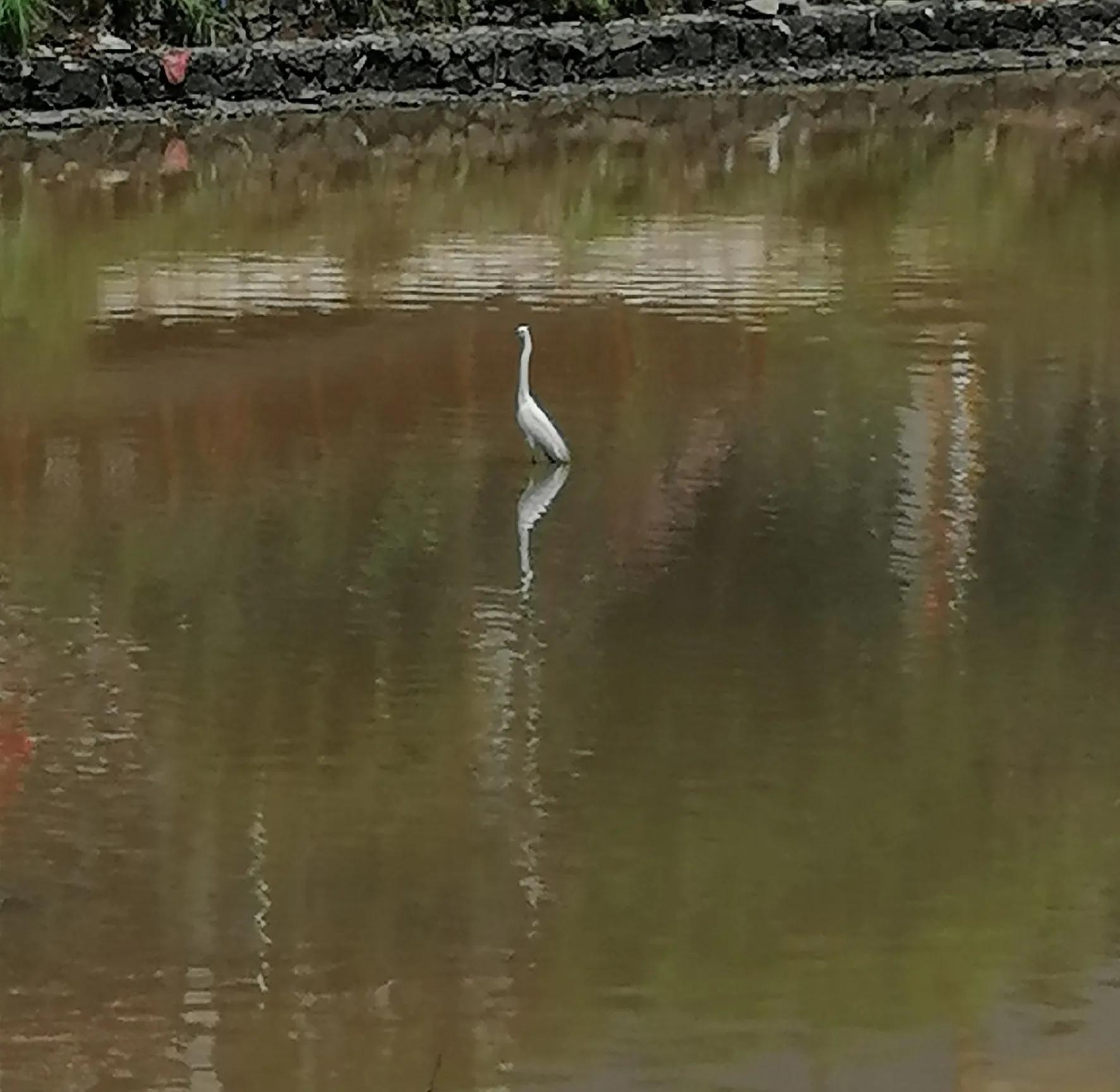 真爱遇到了是庆幸遇不到也正常,真爱难遇到错过了会遗憾一生