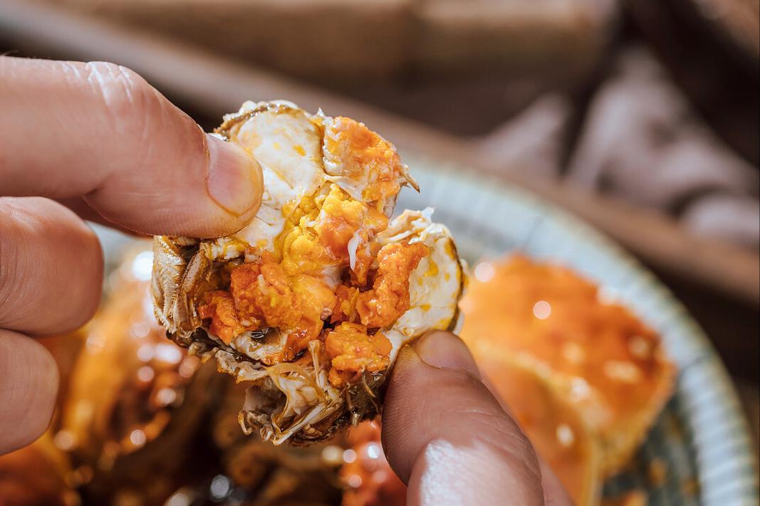 螃蟹哪个地区的最好吃,中国的螃蟹有多少种哪种最好吃