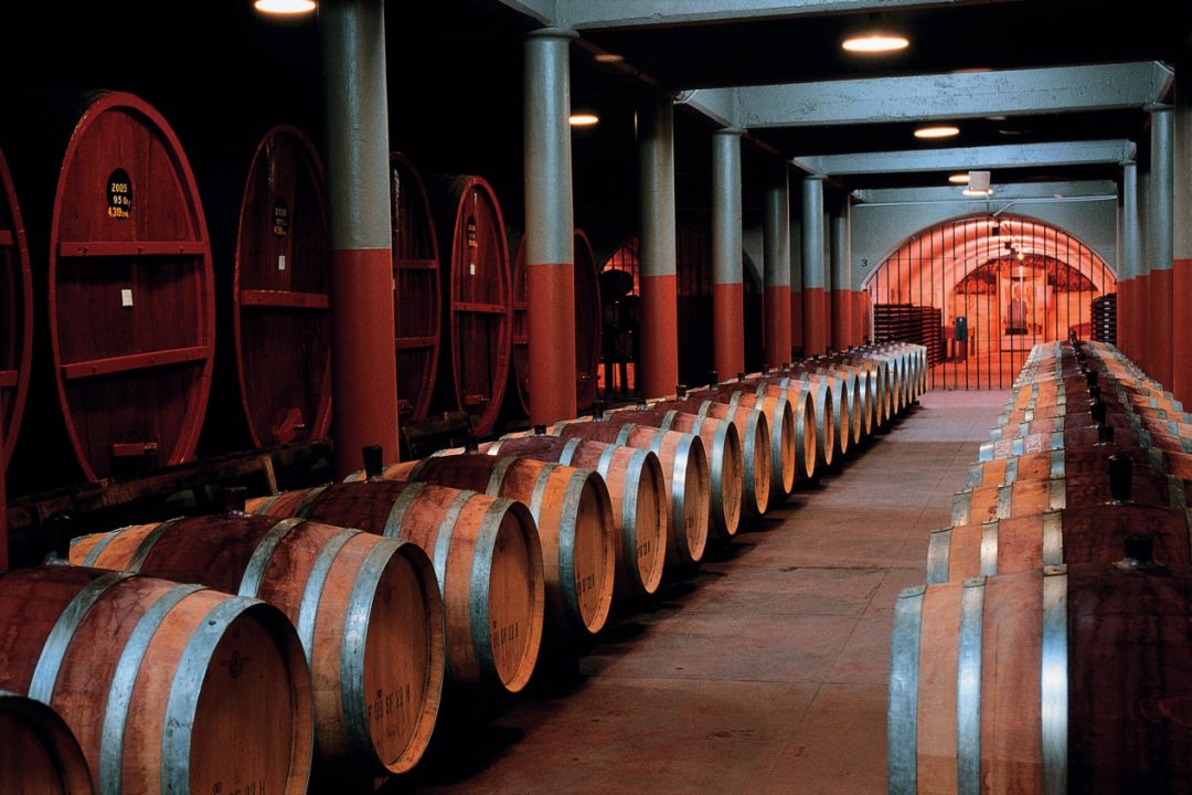 晚上喝一杯红酒坚持了一年的效果,每天一杯红酒胜过人参