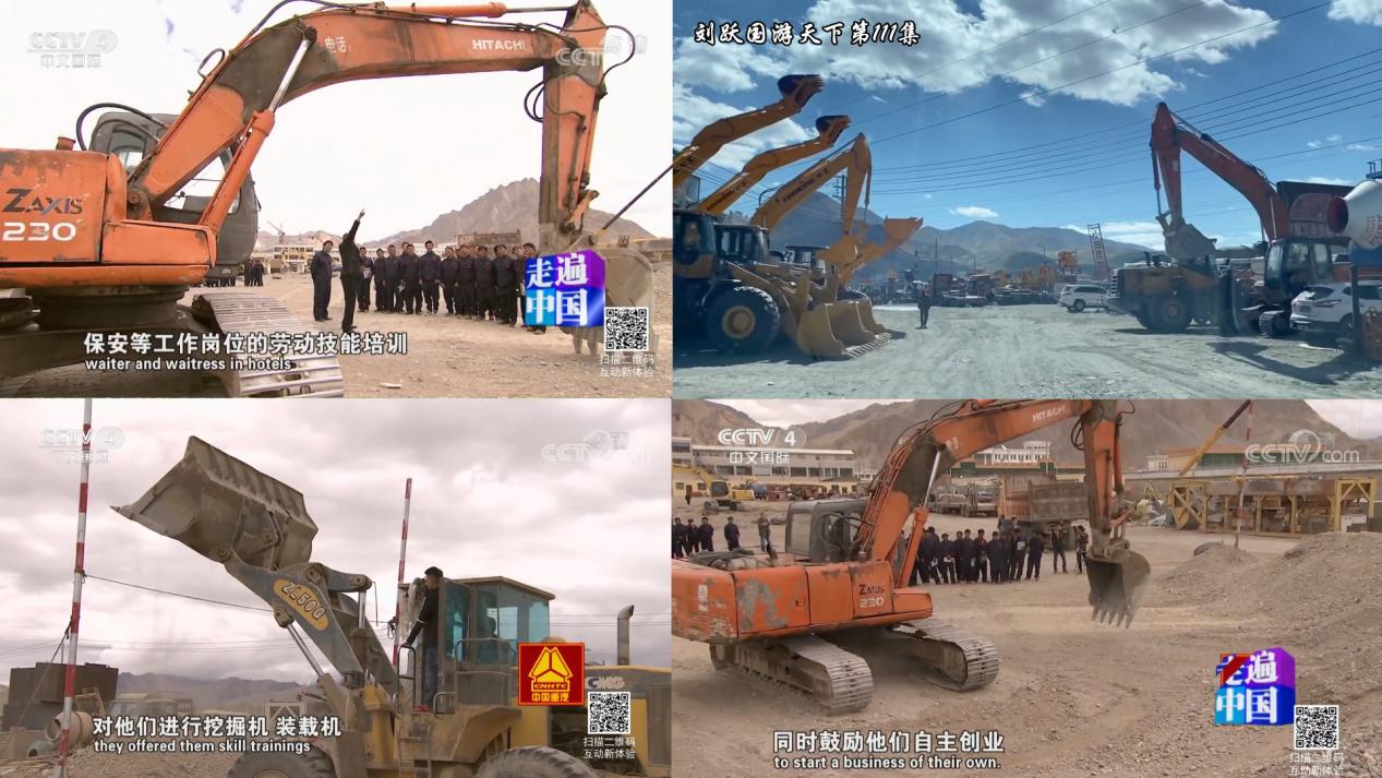 天堂*藏西**-好吃的草成了扶贫开发的头号工程，牛羊就快乐起来啦