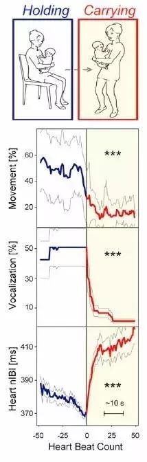 怎样催眠小猫咪,如何催眠一只小猫咪