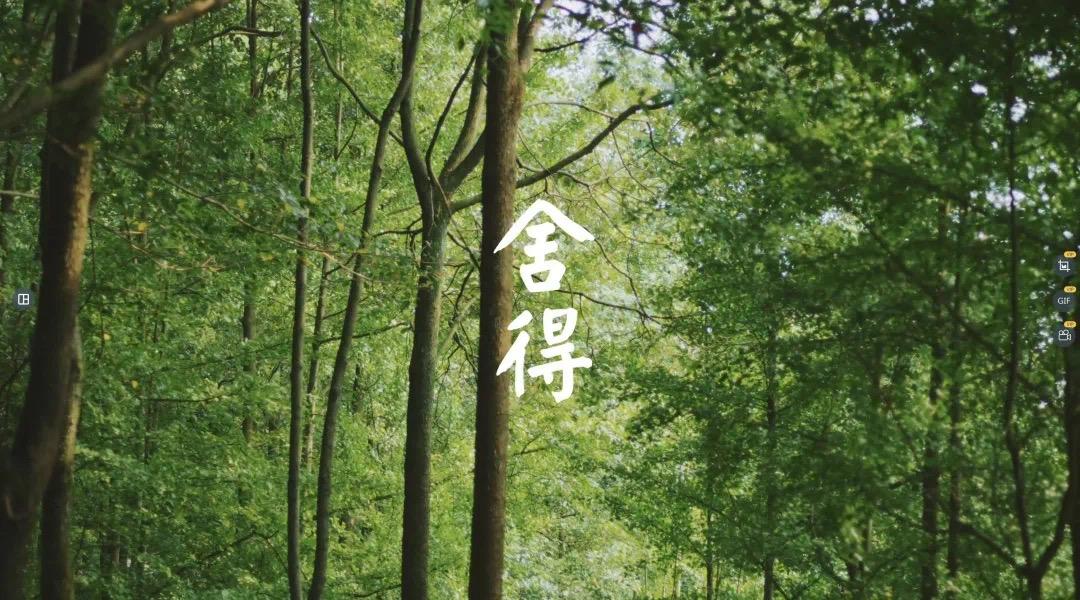 涓栫晫鍚嶉厭鍜屽▉澹繉瀵规瘮,涓栫晫鍗佸ぇ鍚嶉厭vs涓浗鍗佸ぇ鍚嶉厭