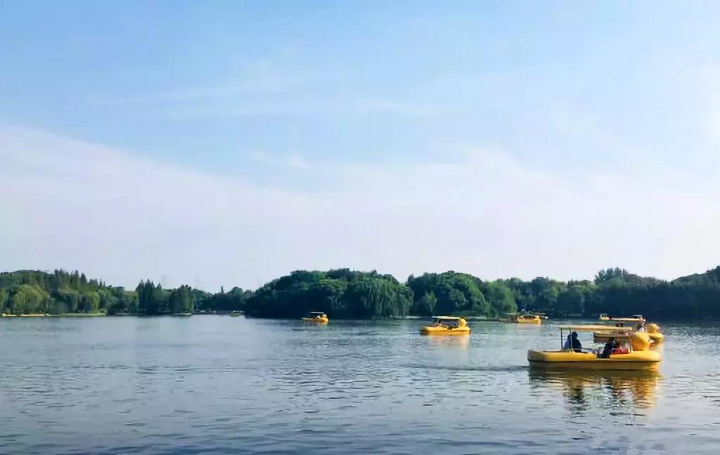 上海超全攻略,上海全天免费最值得去的旅游景点