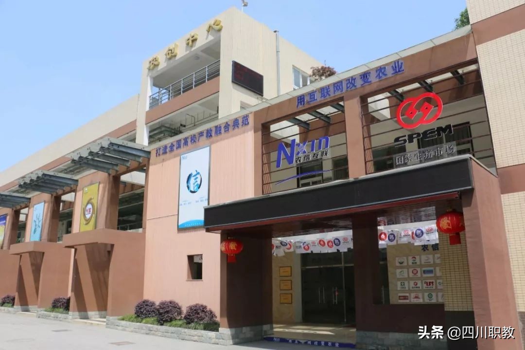 四川背后的故事,背后的故事四川8633