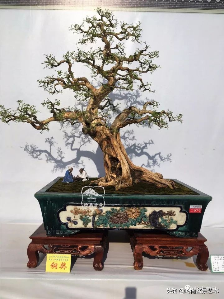 骞哥涔呬箙鐢滅敎铚滆湝,骞哥涔呬箙