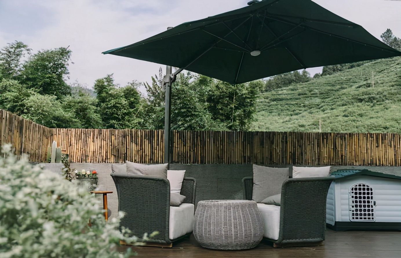 平阳最值得一去的地方,平阳一日游最佳去处青街