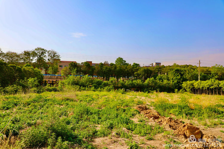 偃师巩义有哪些旅游景点,洛阳偃师旅游景点大全介绍