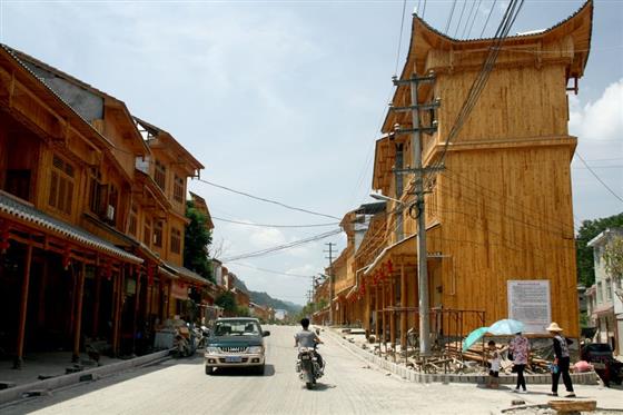 黄山的金凤凰,山沟里的金凤凰湖北