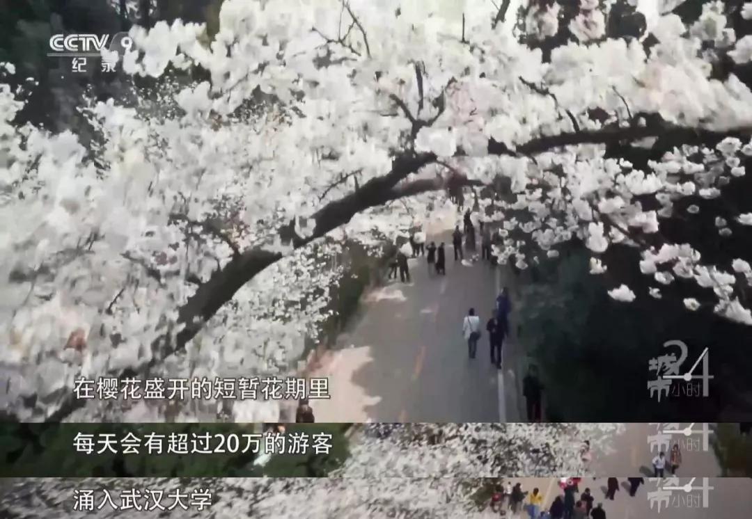 封城十七天的样子,封城二十四天