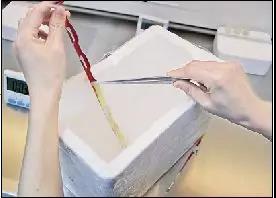 当卵子和精子相遇多少天受孕,试管精子和卵子相遇