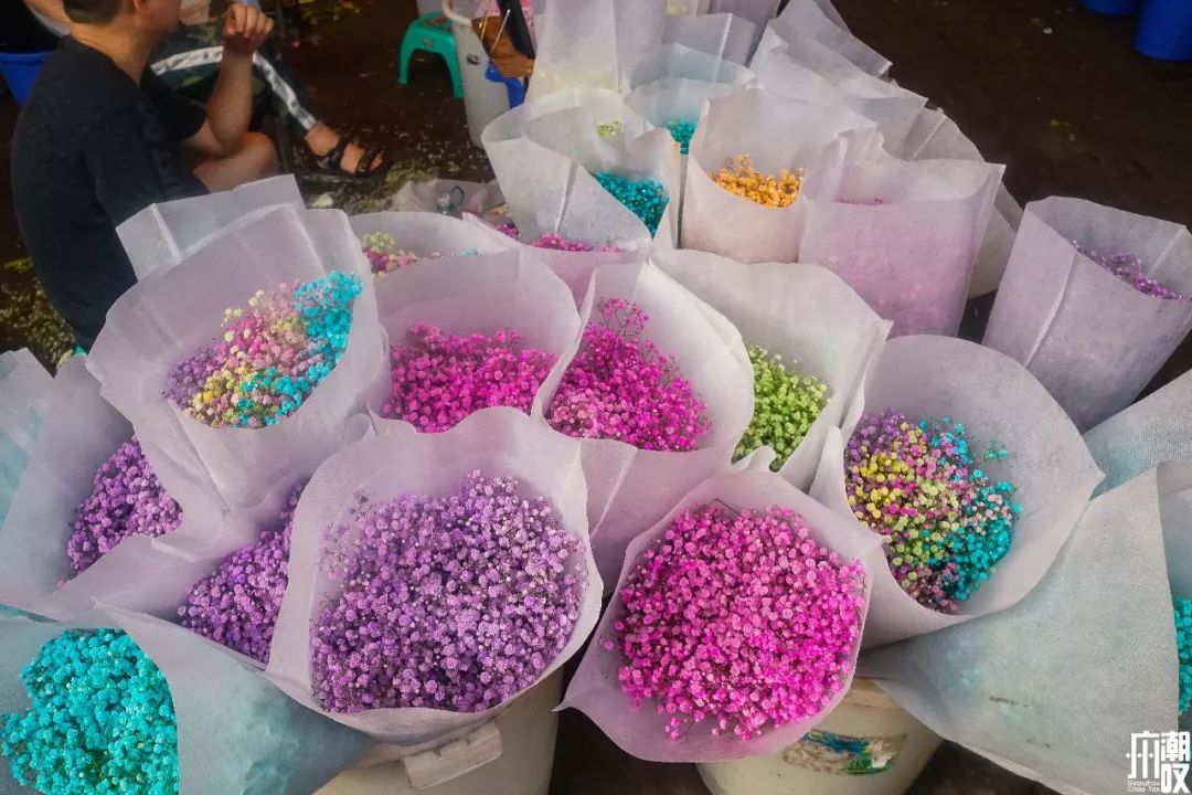 广州最大的花卉市场有哪些店,广州最便宜的花卉交易市场