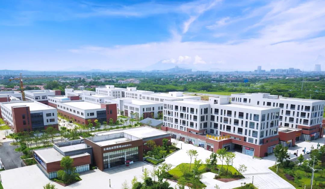 促进东湖高新高质量发展行动方案,鄂州武鄂同城城乡融合