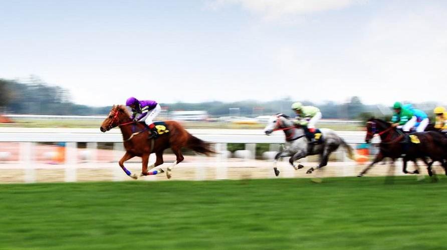 海南赛马业最新规划,2022年海南赛马发展规划