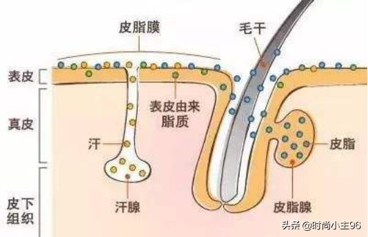 肌肤毛孔粗大出油,油性皮肤毛孔大怎么办