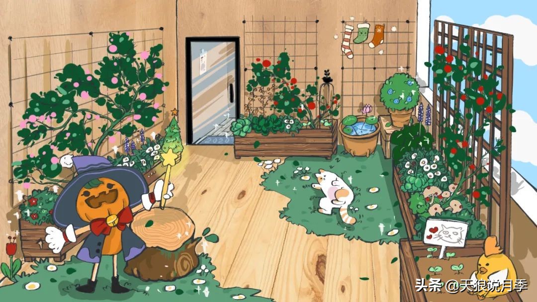 怎么打造露台小花园,如何打理自己的露台小花园