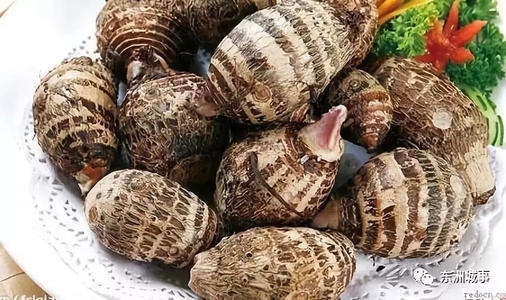 南通海安美食特产,南通特色美食学习