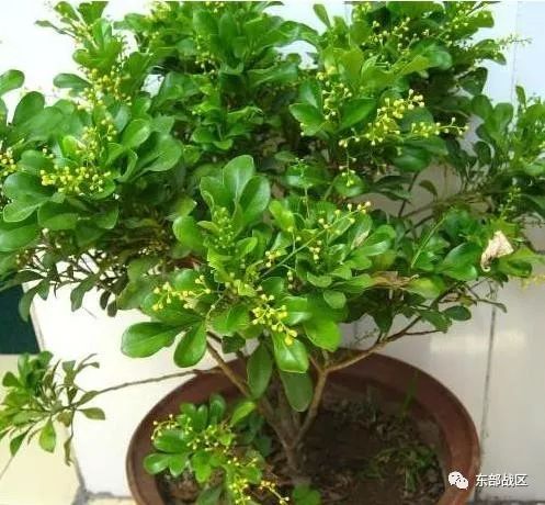 一封催人泪下的家书手写,一封家书感人完整版