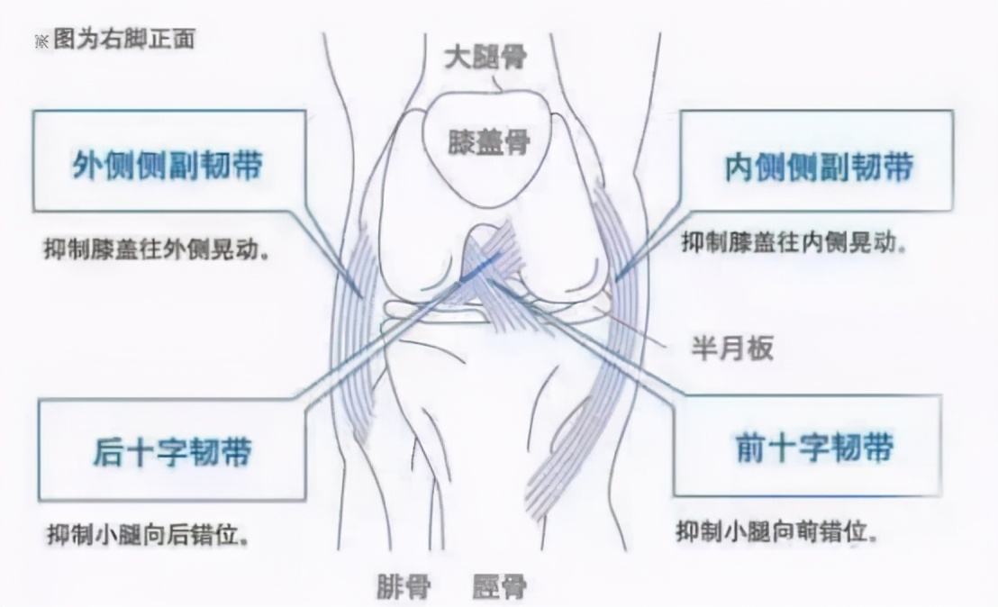 谈“骨”论“筋”|膝盖又疼了？来教你几个康复锻炼方法