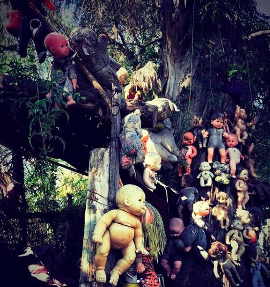 东南亚真实存在的鬼故事,拉美恐怖故事大全