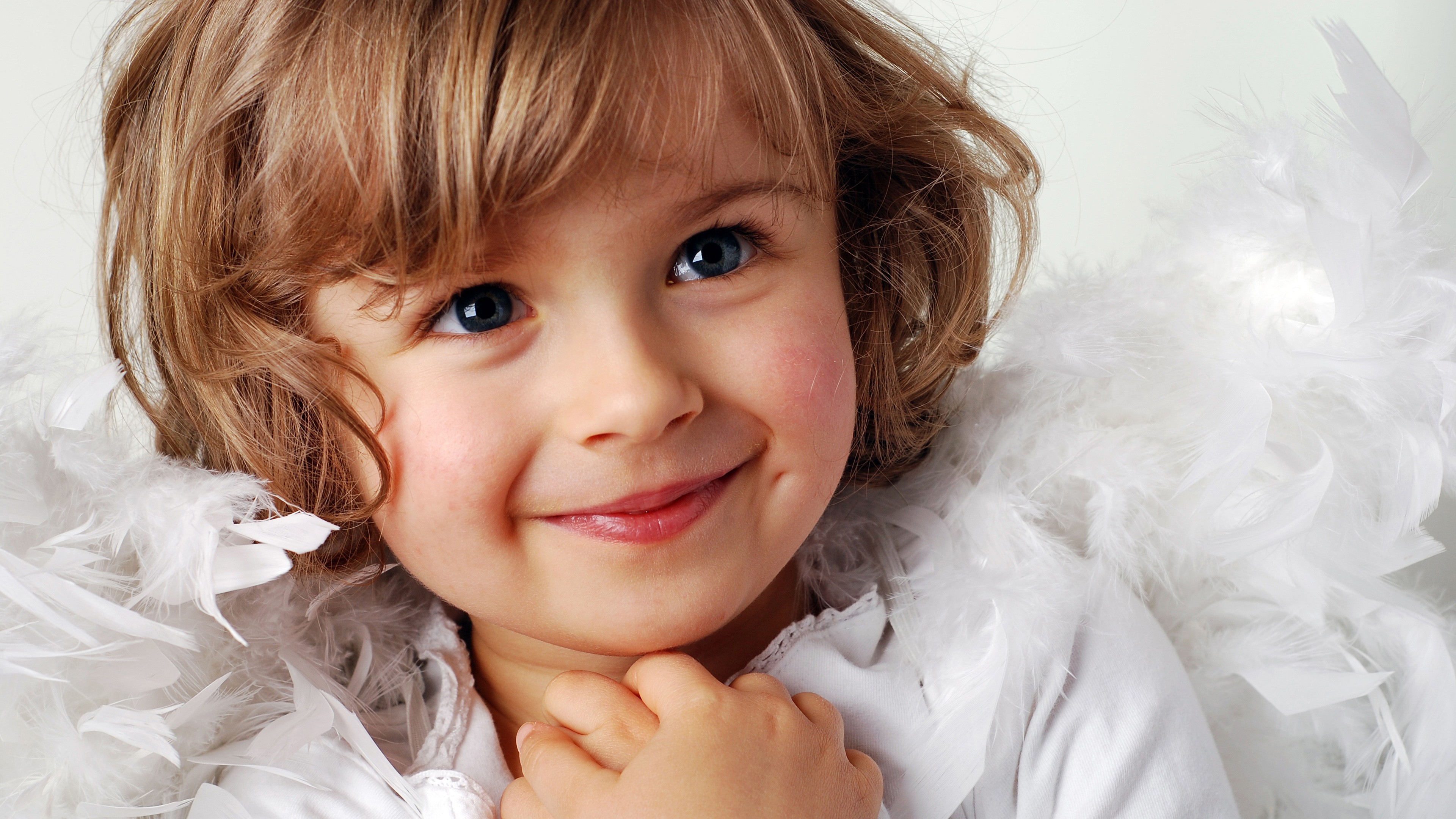 4k动物正脸壁纸高清版霸气,苹果12壁纸超清4k全屏动物